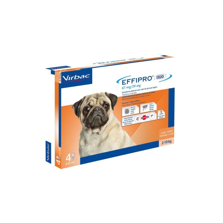 Effipro Duo Cane 4 Pipette - 2 a 10 Kg