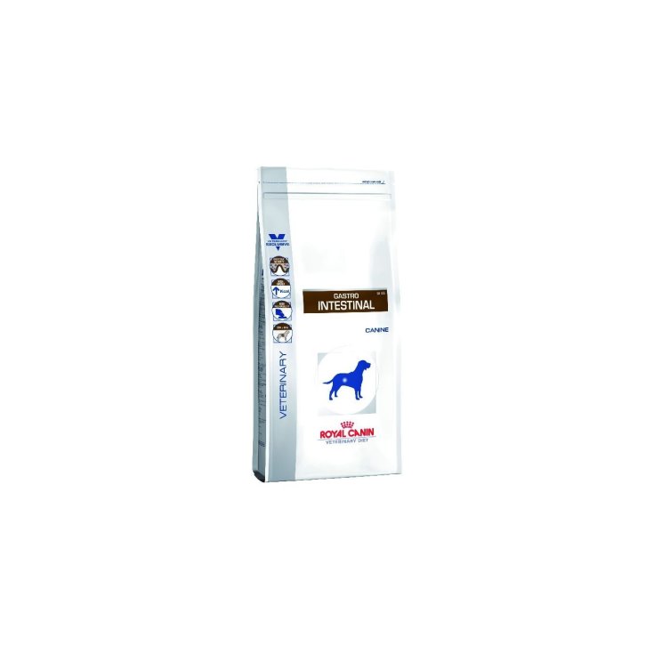 Royal Canin Veterinary Gastro Intestinal Alimento Dietetico Secco 2kg