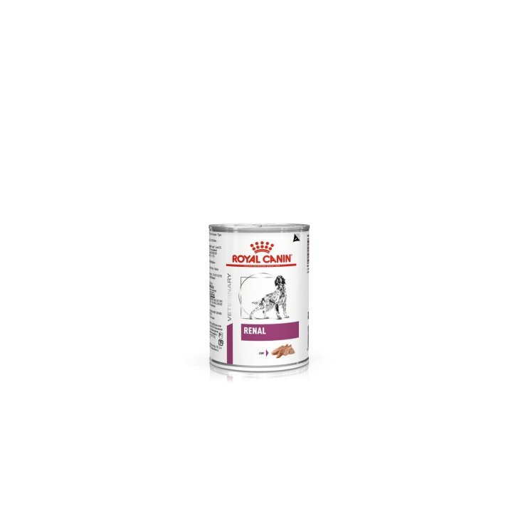 Veterinary Diet Renal - 410GR