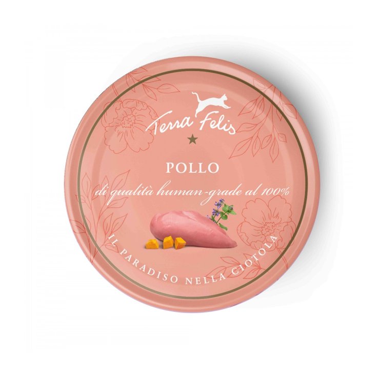 Adult Pollo - 80GR