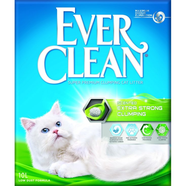 EVERCLEAN EXTRA STRONG SCE 6L