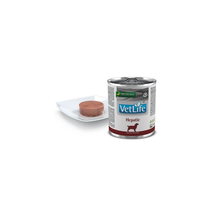 Vet Life Hepatic - 300GR