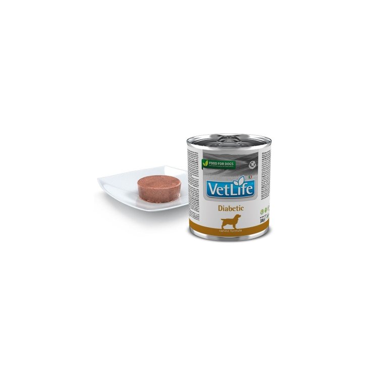 Vet Life Diabetic  Dog - 300GR