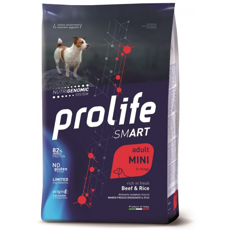 PROLIFE DOG SMART AD BEEF 600G