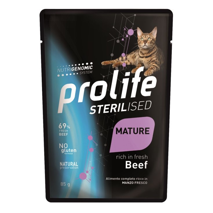 Sterilised Grain Free Mature Beef - 85GR