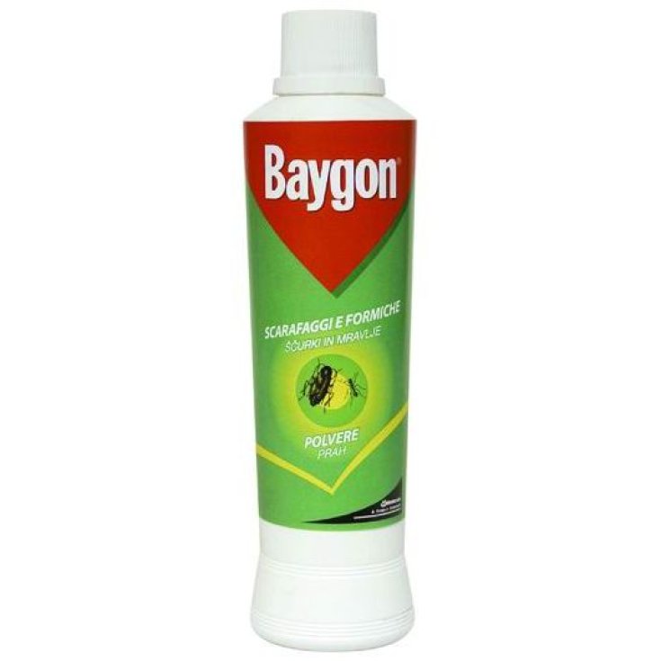 BAYGON POLVERE S & F 250 GR