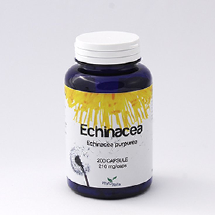 Phytoitalia Echinacea Integratore Alimentare 60 Compresse