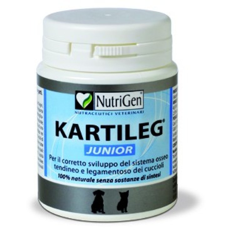 Kartileg Junior - 600X1GR