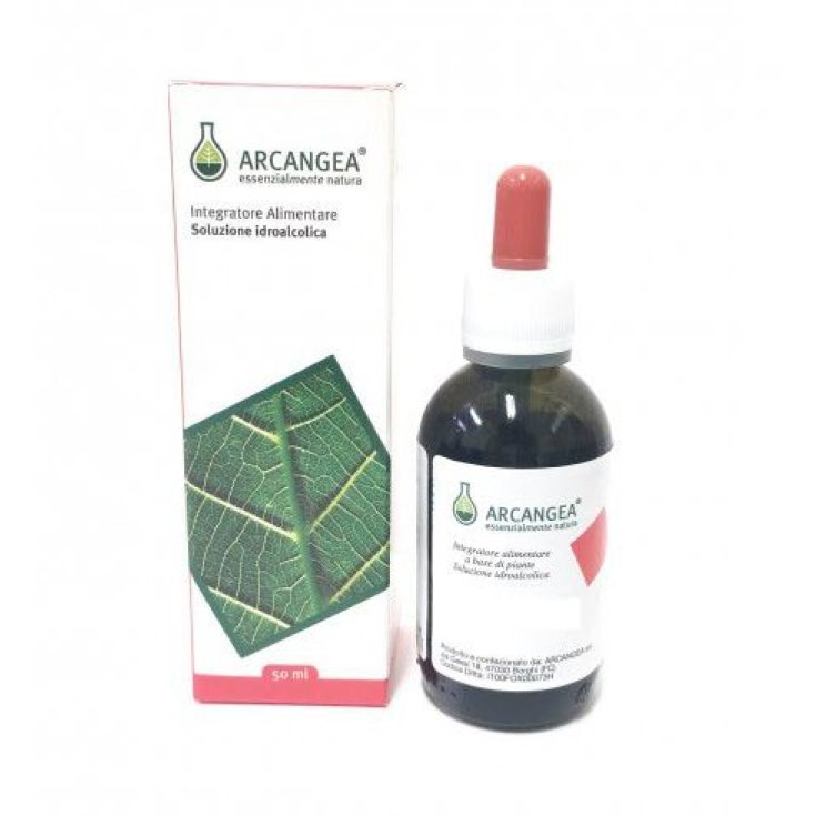 Arcangea Carpinus Betulus Circulatum Integratore Alimentare 50ml 