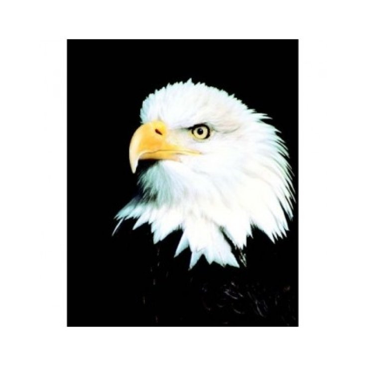 Natur Aquila Eagle Essenze Di Animali Selvatici 30ml