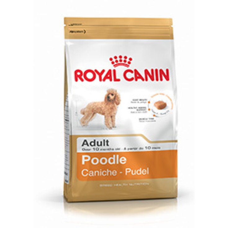 Royal Canin Breed Hn Poodle Alimentazione Per Barboncini 1,5kg
