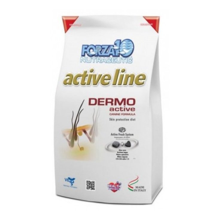 Dermo Active - 4KG