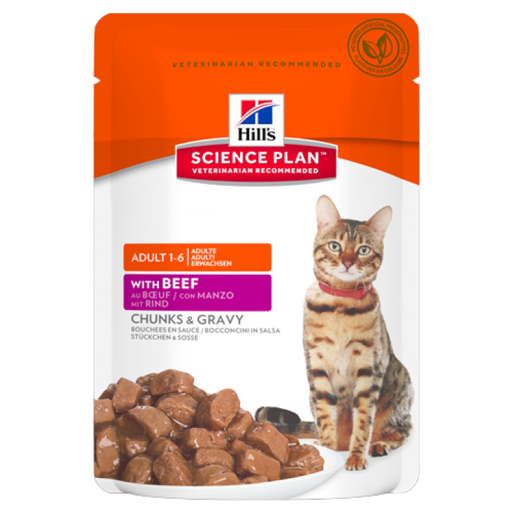 Hill's Science Plan Feline Adult con Beef 1 x85g