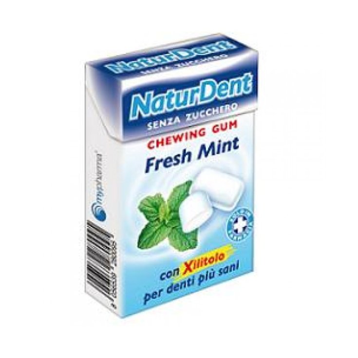 Naturdent Chewing Gum Fresh Mint 