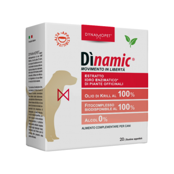 Dinamic - 20 bustine - 2,5 g