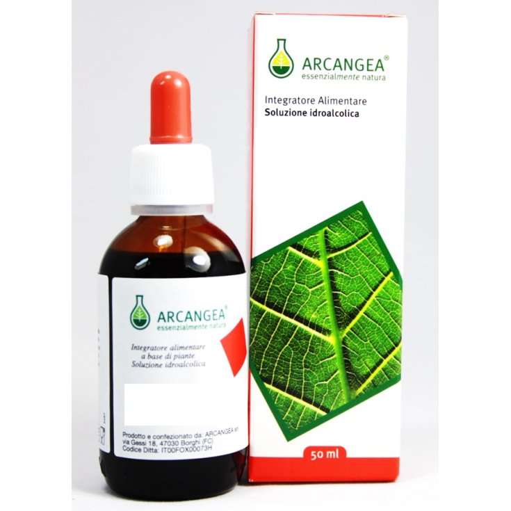 Arcangea Passiflora Bio Soluzione Idroalcolica 50ml