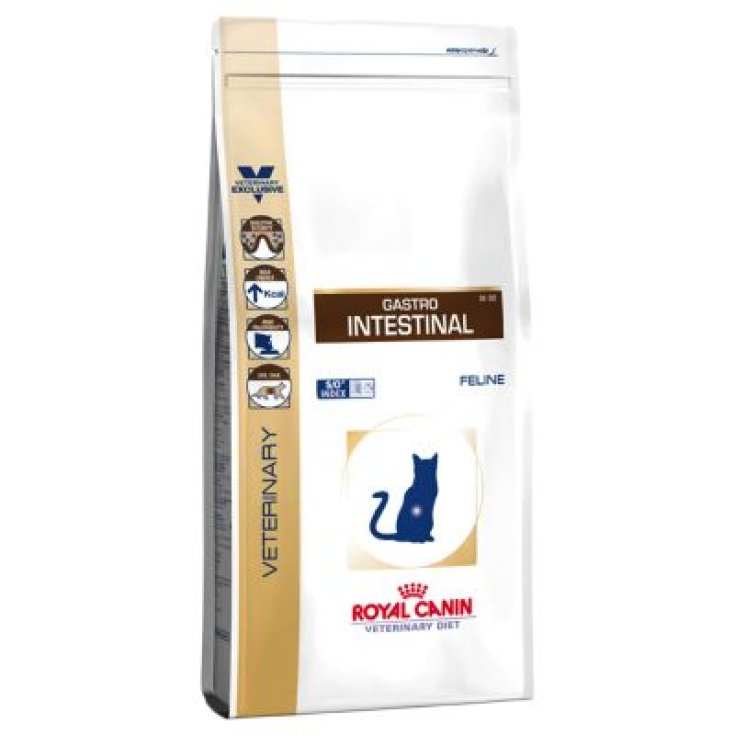 Royal Canin Veterinery Diet Gastro Intestinal Feline Cibo Secco per Gatti 4kg