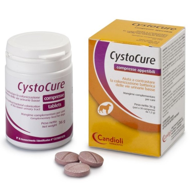 Cystocure Forte - 30X2GR