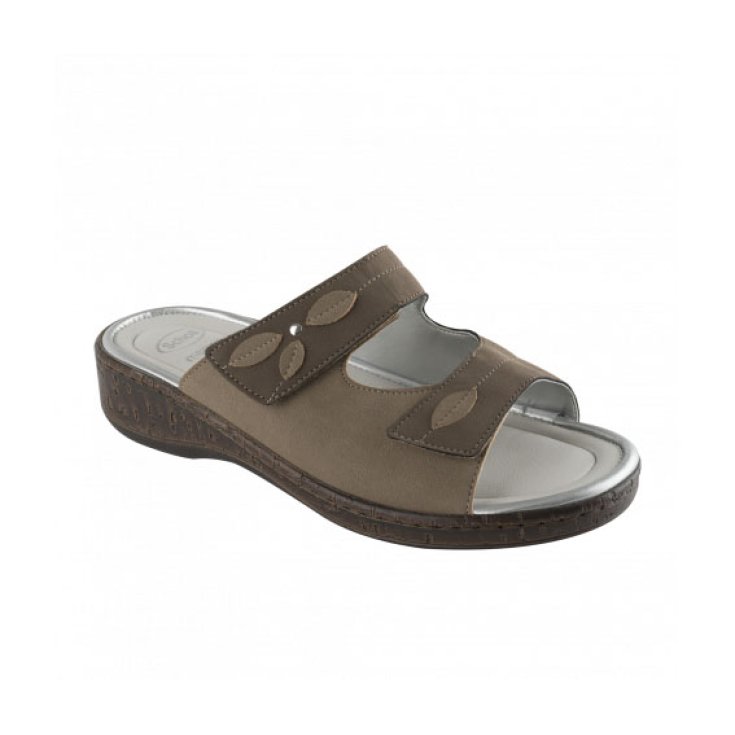 Scholl Rosca Ciabatta Donna Colore Marrone Misura 36