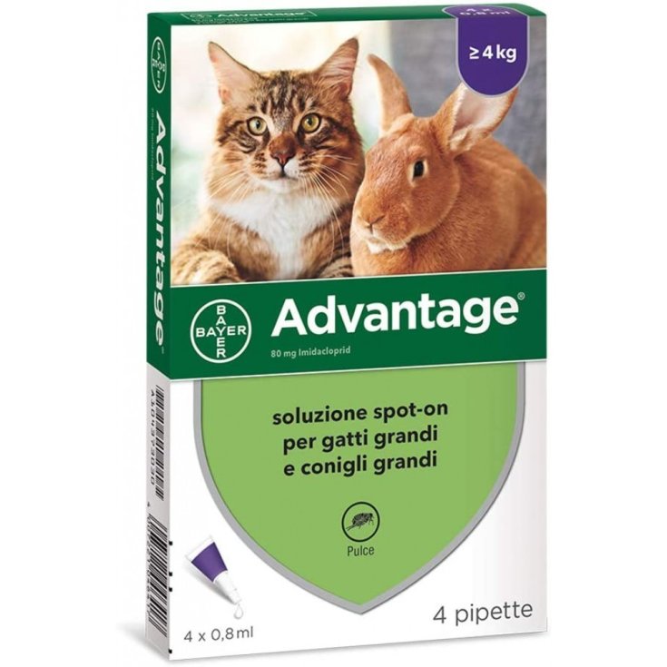 Advantage® Soluzione Spot-On Per Gatti E Conigli Oltre 4 Kg BAYER 4 Pipette Da 0,8ml