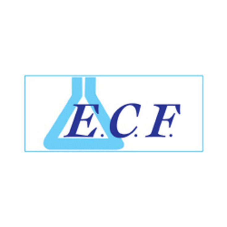 ECF Ecofil Fragrance Detergente Intimo 500ml