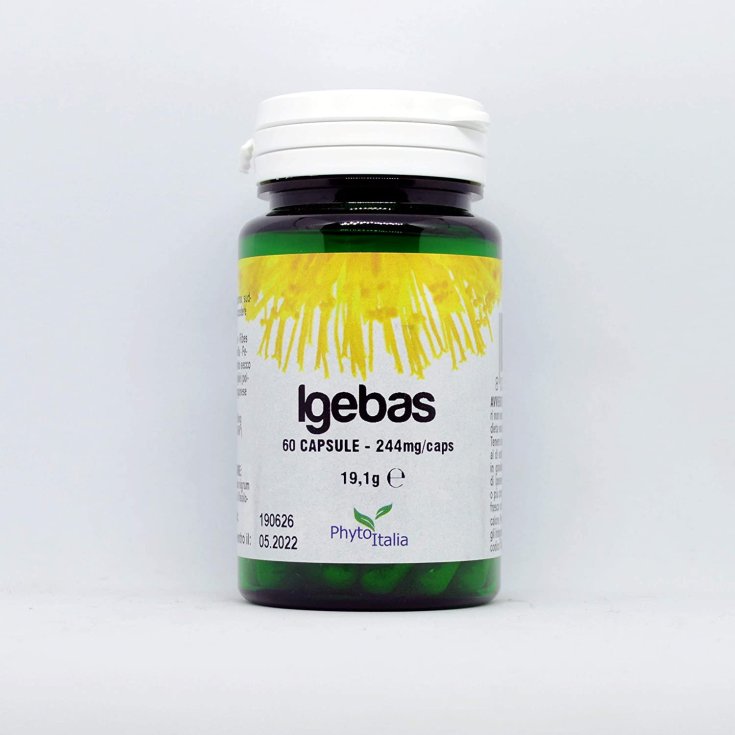 Igebas Phyto 60 Capsule