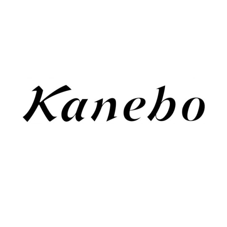 Kanebo Lotion Mask