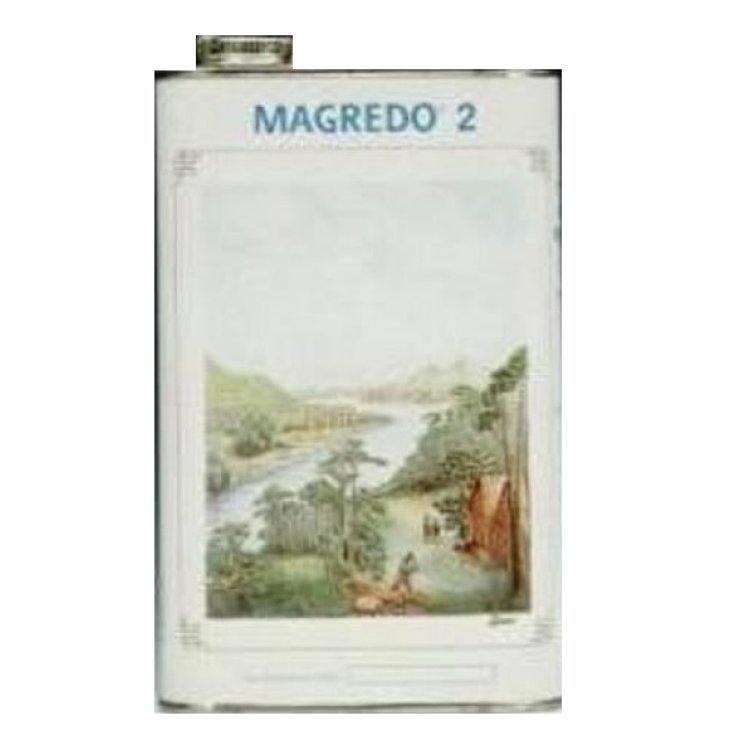 Magredo® 2 Sciroppo D'Acero Vegetal Progress 1320g