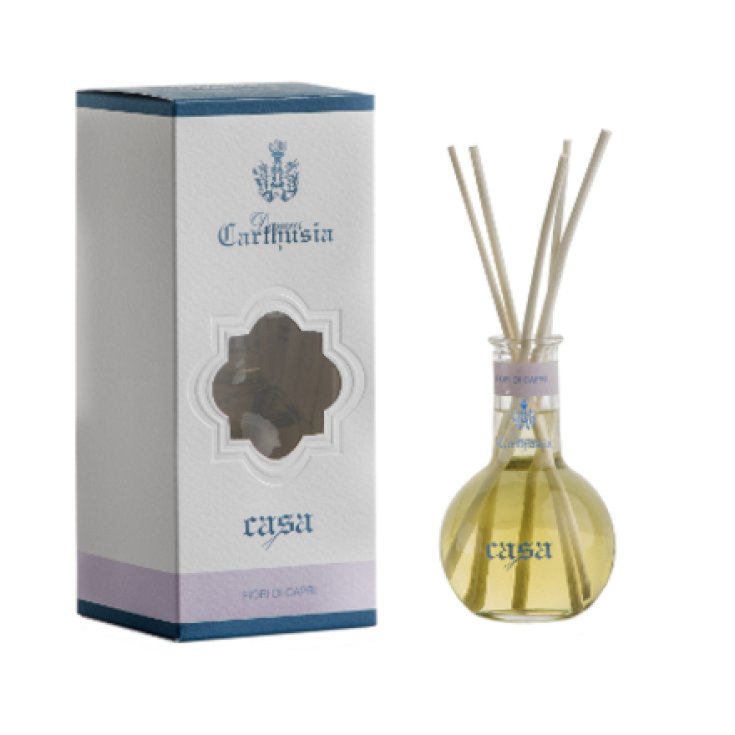 EcoZiz - Diffusore Ambiente 150ml - Aromaterapia Naturale per una Casa  Olfattivamente Piacevole