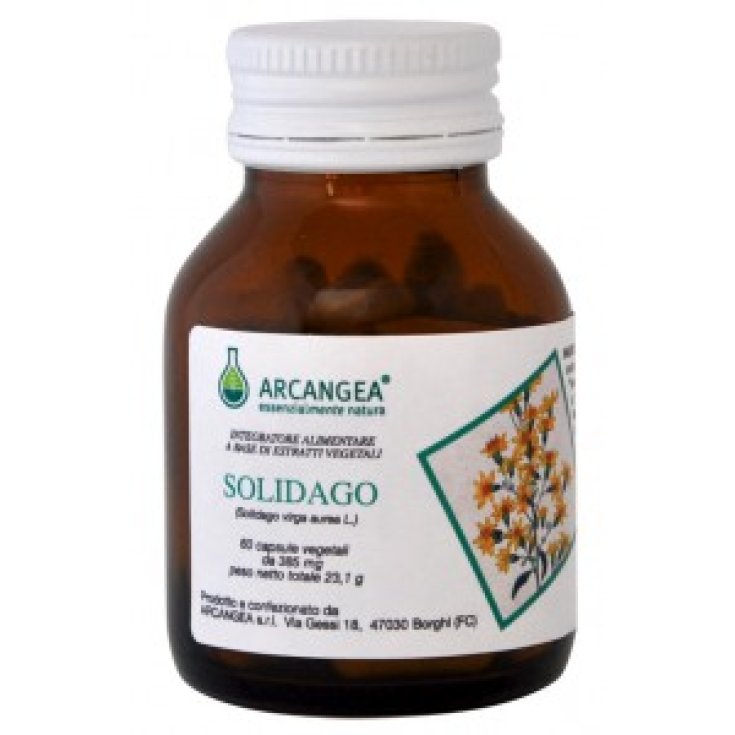 Solidago Bio Arcangea® 60 Capsule 385mg