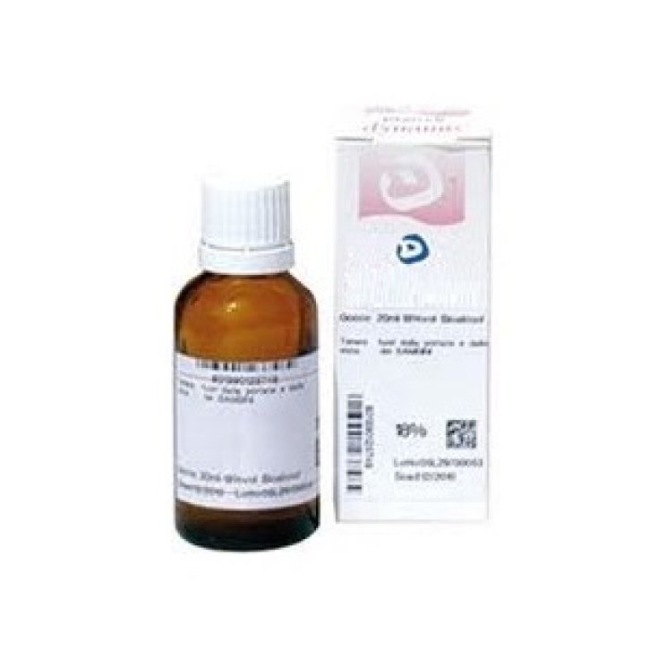 UNDA Symphytum Officinalis  9CH Gocce Medicinale Omeopatico 10ml