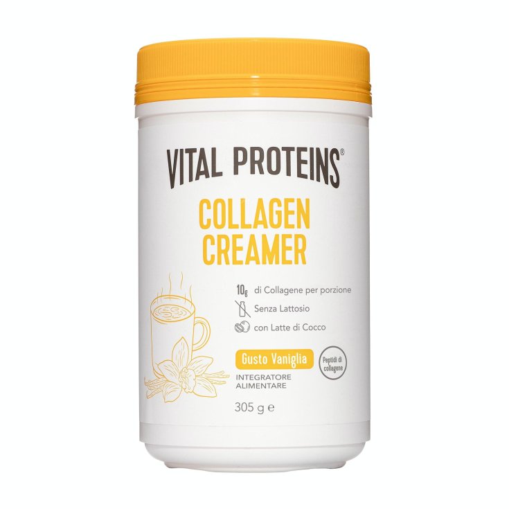 Vital Proteins® Collagen Creamer VANIGLIA 305g