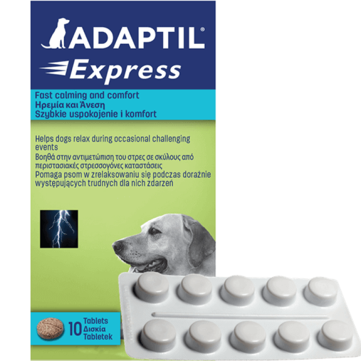 Adaptil Express Ceva 10 Compresse