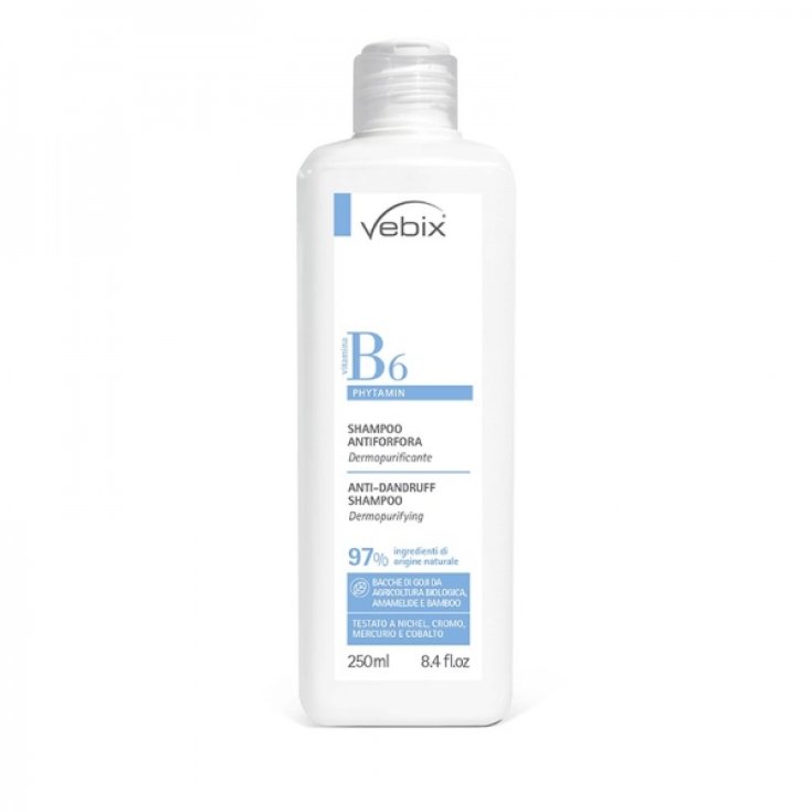 B6 Shampoo Antiforfora Vebix 250ml 