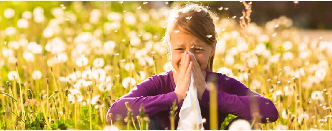Come prevenire e controllare le Allergie Primaverili