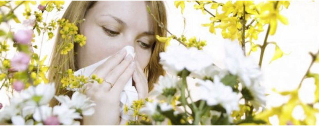 Rimedi naturali contro l’allergia