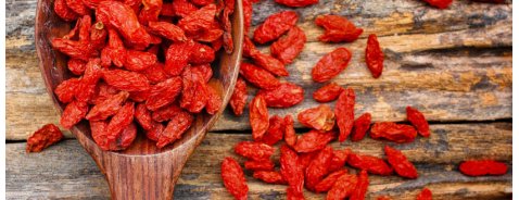 Le Bacche di Goji: per gli orientali è il Frutto della Vita