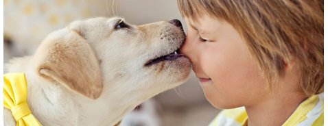 Baci ed effusioni canine: ecco perchè evitarle!