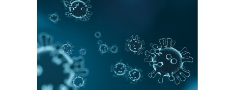 Coronavirus: cosa c'è da sapere