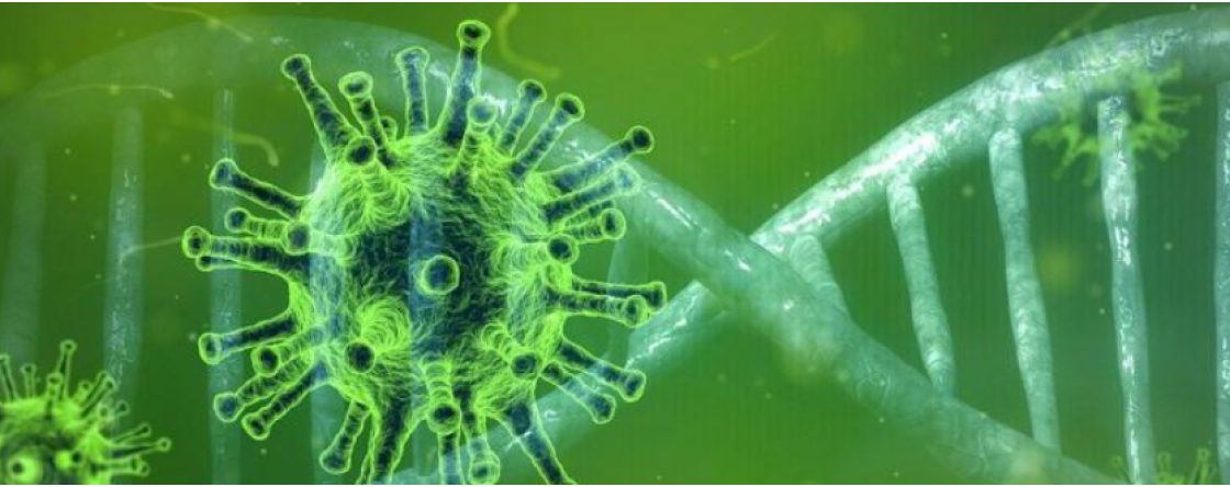 Virus e batteri, qual è la differenza?