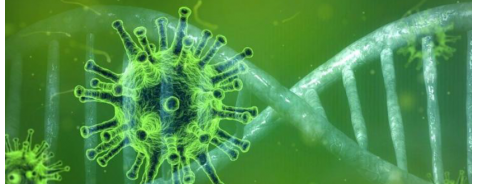 Virus e batteri, qual è la differenza?