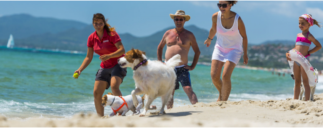 Le regole per portare il tuo cane in spiaggia