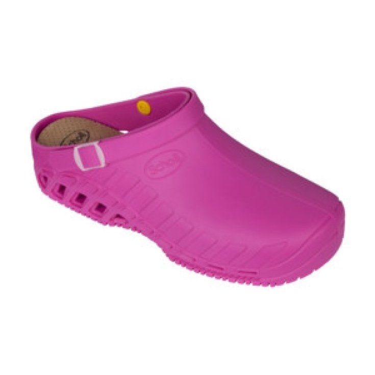 Clog Evo Unisex Scholl Fuchsia Taglia 38-39