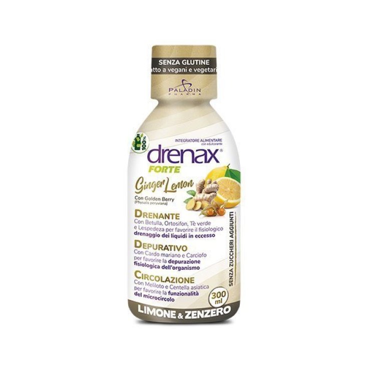Drenax Forte Ginger Lemon Pocket Paladin Pharma 300ml