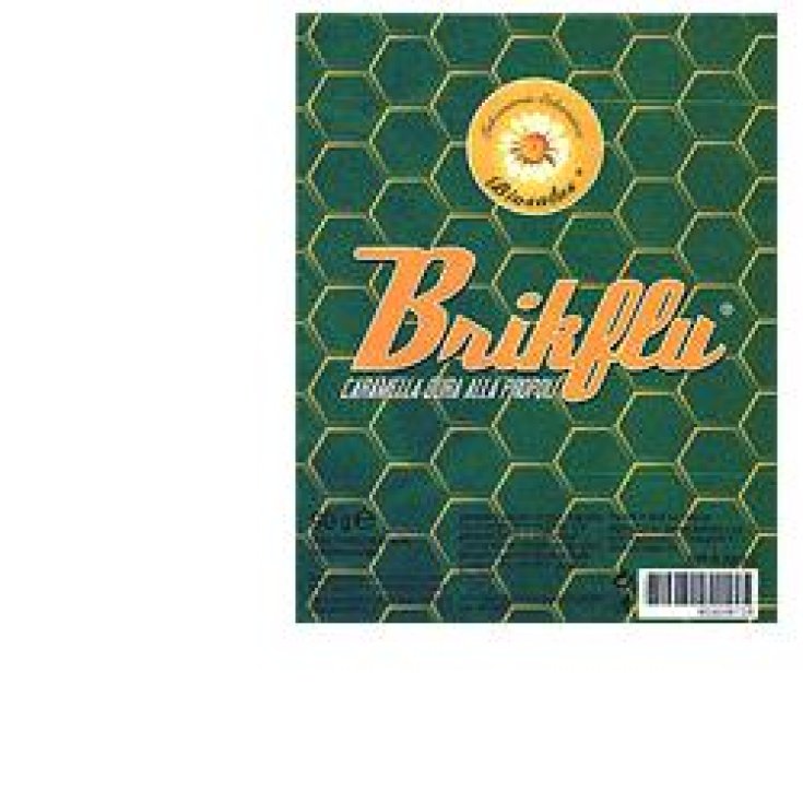 Biosalus® BrikFlu® Caramelle Alla Propoli 90g