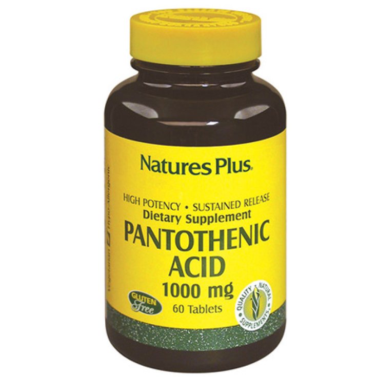 Acido Pantotenico 1000 Mg