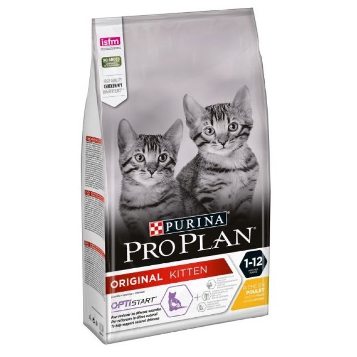 Pro Plan Original Kitten - 10KG