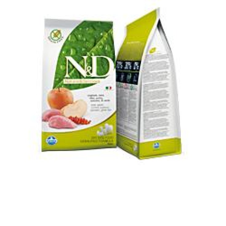 N&D DOG CINGH MEL AD MINI 800G