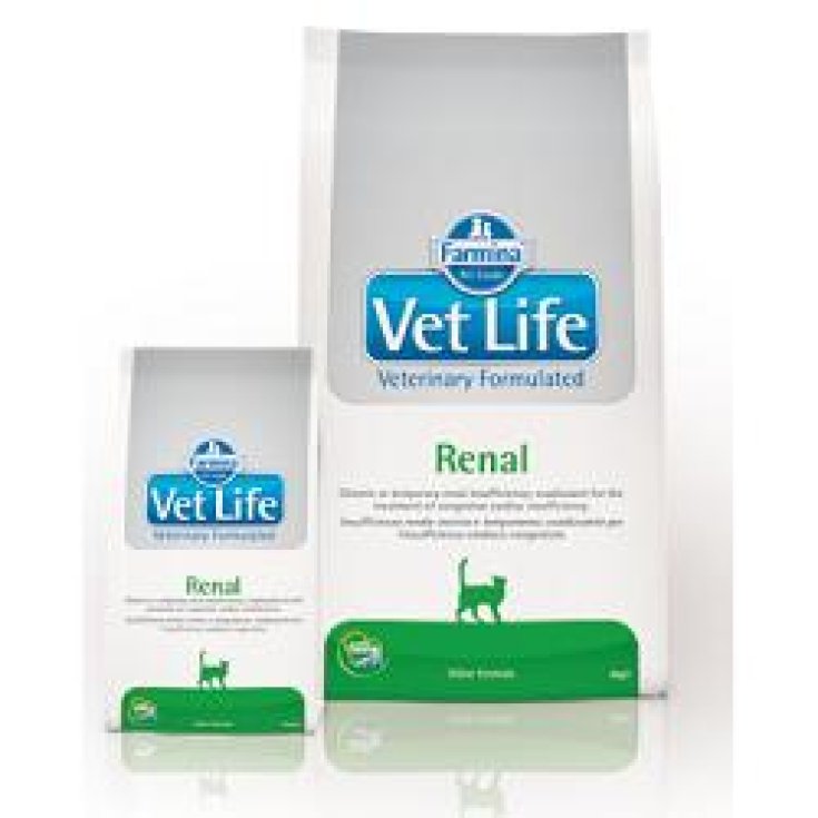 Vet Life Renal - 2KG