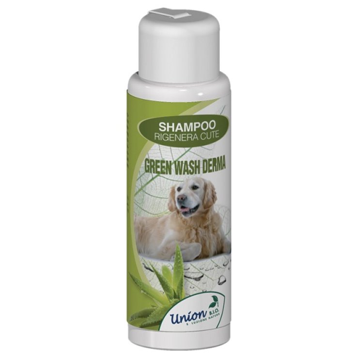 Shampoo Green Wash Derma - 1LT